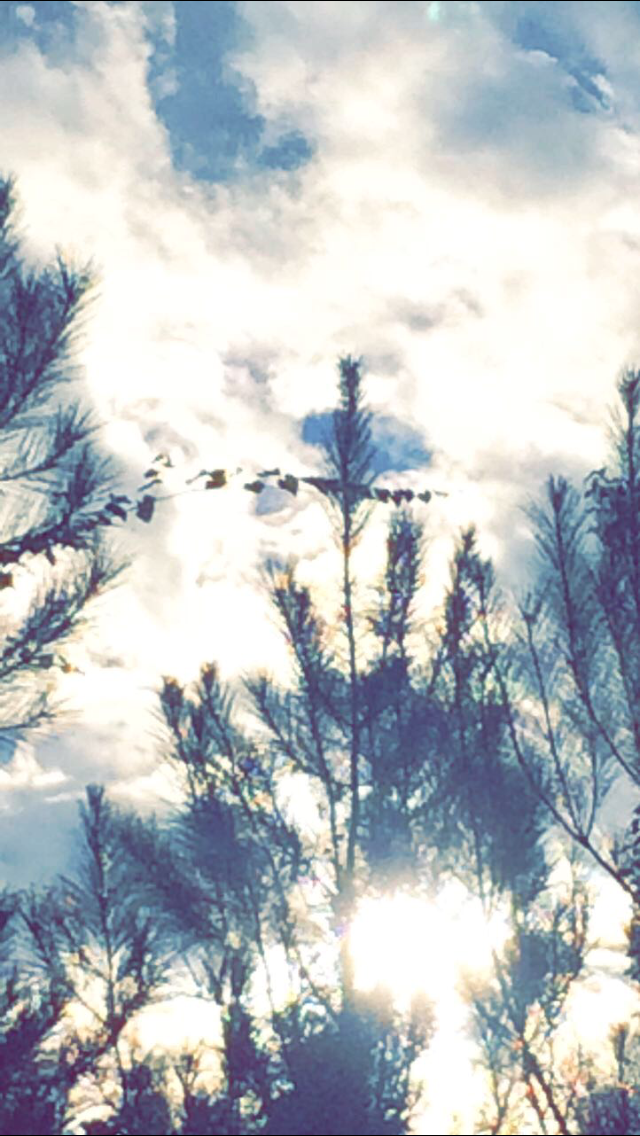 A lamp to guide my feet and a light for my path